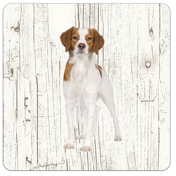 Hond Epagneul Breton | Houten Onderzetters 6 Stuks