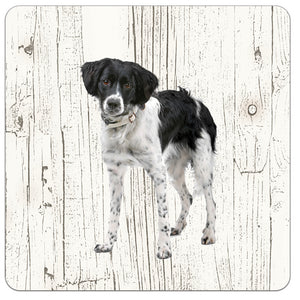 Hond Friese Stabij | Houten Onderzetters 6 Stuks