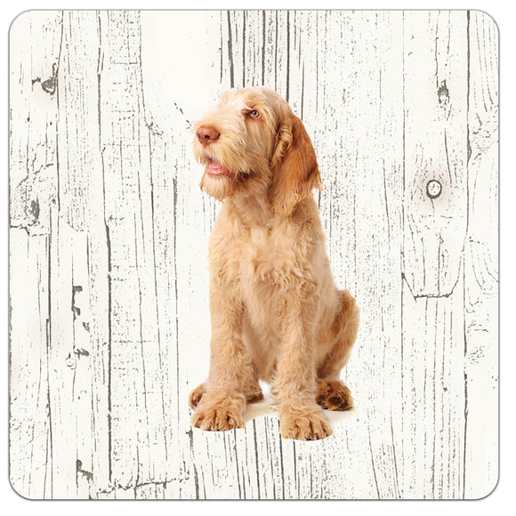Hond Spinone Italiano | Houten Onderzetters 6 Stuks