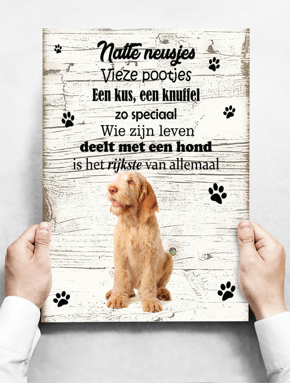 Wandbord hond: Spinone Italiano - 30 x 42 cm