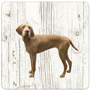 Hond Vizsla Draadhaar | Houten Onderzetters 6 Stuks