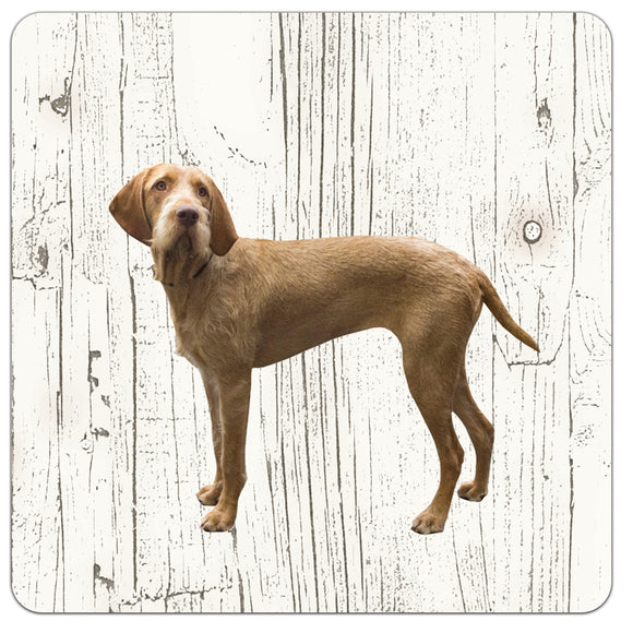 Hond Vizsla Draadhaar | Houten Onderzetters 6 Stuks