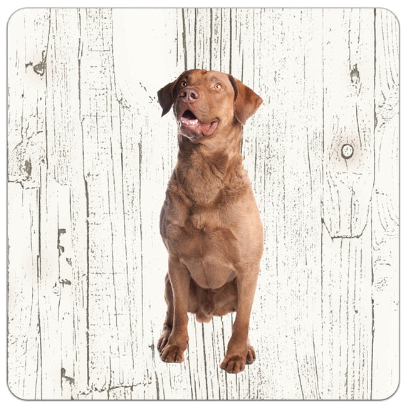 Hond Chesapeake Bay Retriever | Houten Onderzetters 6 Stuks