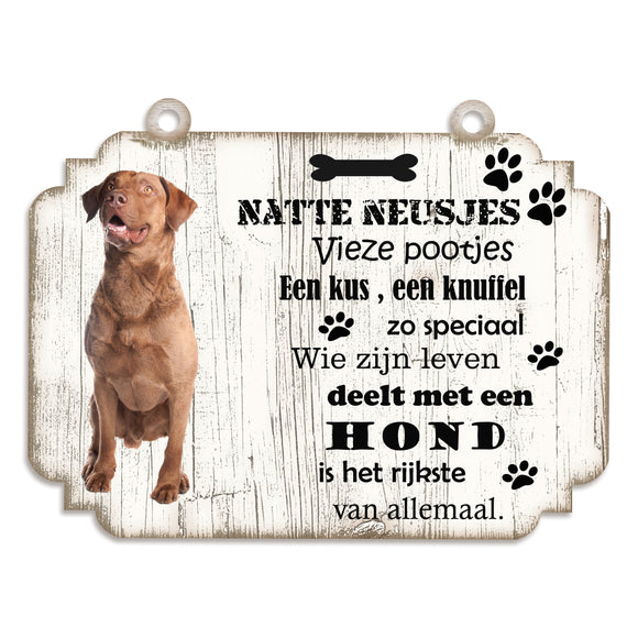 Spreukenbordje hond: Chesapeake Bay Retriever