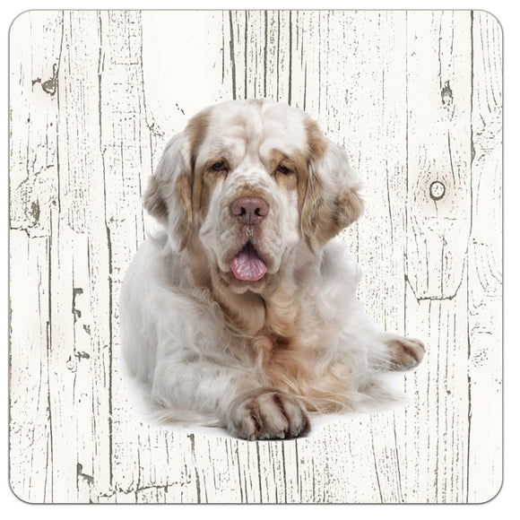 Hond Clumber Spaniel | Houten Onderzetters 6 Stuks