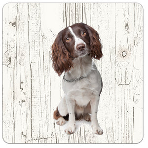 Hond Engelse Springer Spaniel | Houten Onderzetters 6 Stuks