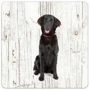 Hond Flatceuted Retriever | Houten Onderzetters 6 Stuks