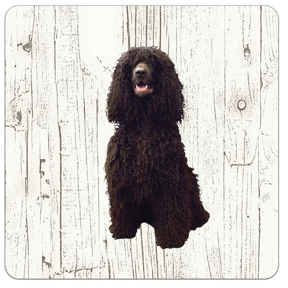 Hond Ierse Water Spaniel | Houten Onderzetters 6 Stuks