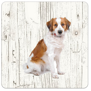 Hond kooikerhondje | Houten Onderzetters 6 Stuks