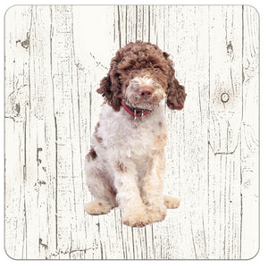 Hond Lagotto Romagnolo | Houten Onderzetters 6 Stuks