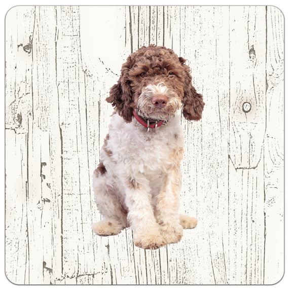 Hond Lagotto Romagnolo | Houten Onderzetters 6 Stuks