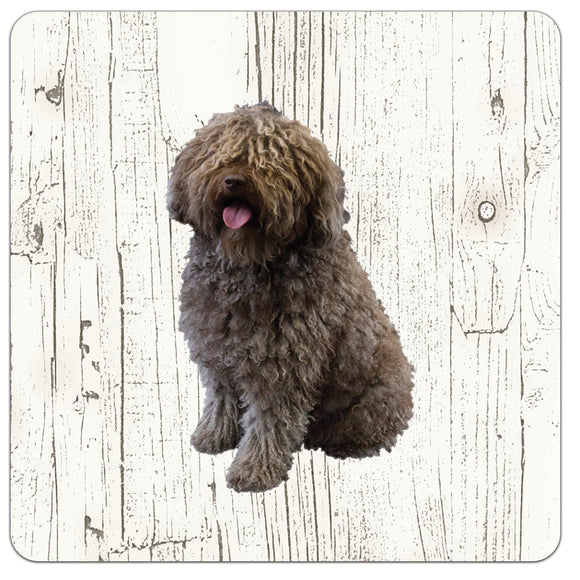 Hond Spaanse Waterhond | Houten Onderzetters 6 Stuks