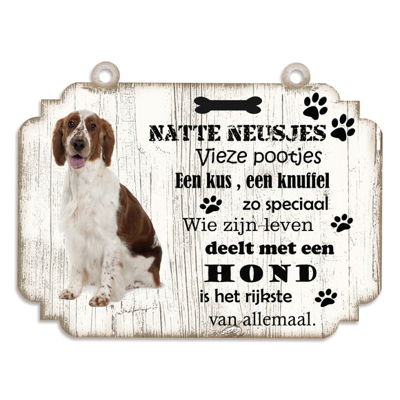 Spreukenbordje hond: Welsh Springer Spaniel