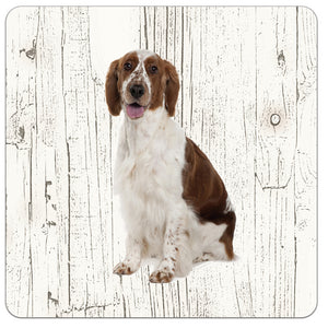 Hond Welsh Springer Spaniel | Houten Onderzetters 6 Stuks