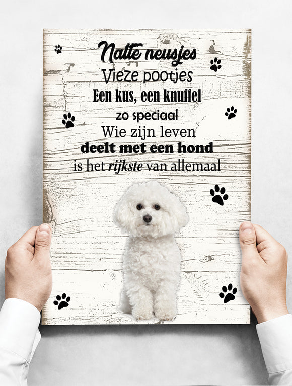 Wandbord hond: Bichon Frisé - 30 x 42 cm