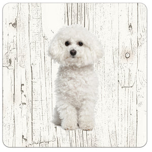 Hond Bichon Frisé | Houten Onderzetters 6 Stuks