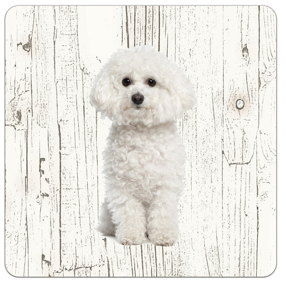 Hond Bichon Frisé | Houten Onderzetters 6 Stuks
