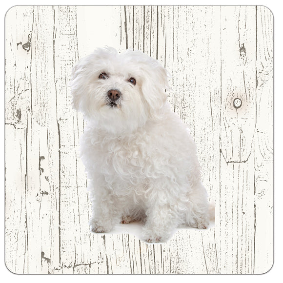 Hond Bolognezer | Houten Onderzetters 6 Stuks