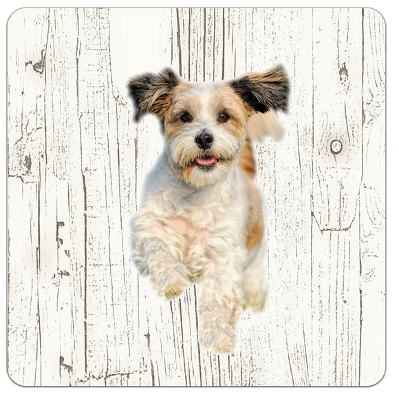 Hond Bolonka Zwetna | Houten Onderzetters 6 Stuks