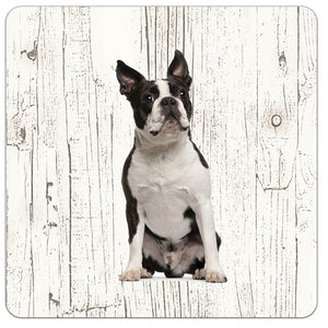 Hond Boston Terriër | Houten Onderzetters 6 Stuks