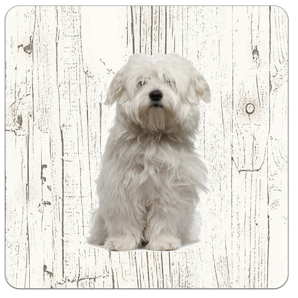 Hond Corton De Tuléar | Houten Onderzetters 6 Stuks