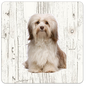 Hond Havanezer | Houten Onderzetters 6 Stuks