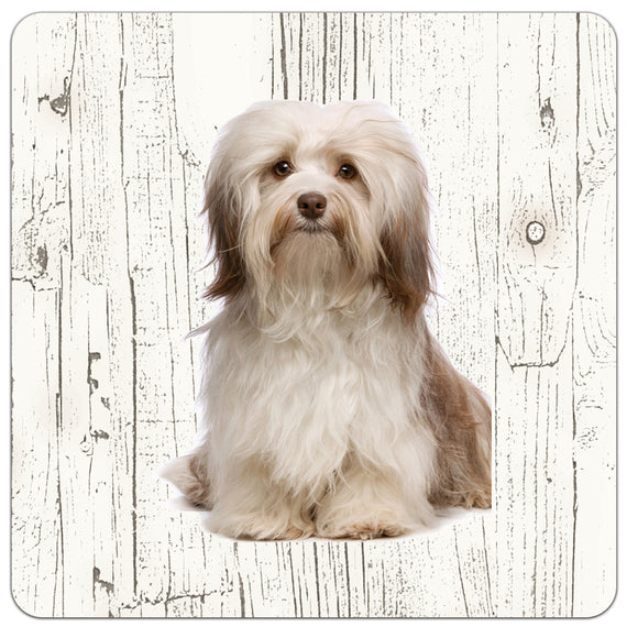 Hond Havanezer | Houten Onderzetters 6 Stuks
