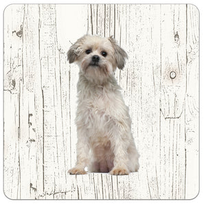 Hond Leeuwhondje | Houten Onderzetters 6 Stuks