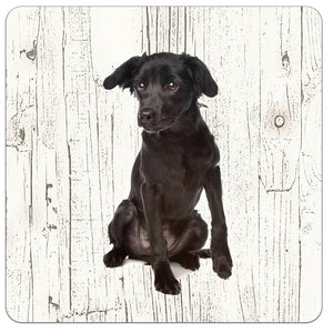 Hond Markiesje | Houten Onderzetters 6 Stuks
