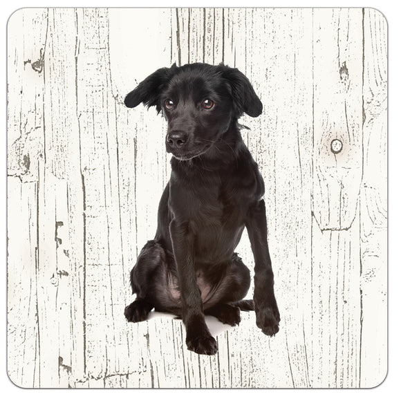 Hond Markiesje | Houten Onderzetters 6 Stuks