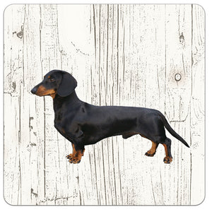 Hond Kortharige Teckel Zwart | Houten Onderzetters 6 Stuks