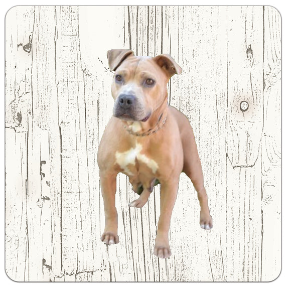 Hond Amerikaanse Stafford | Houten Onderzetters 6 Stuks