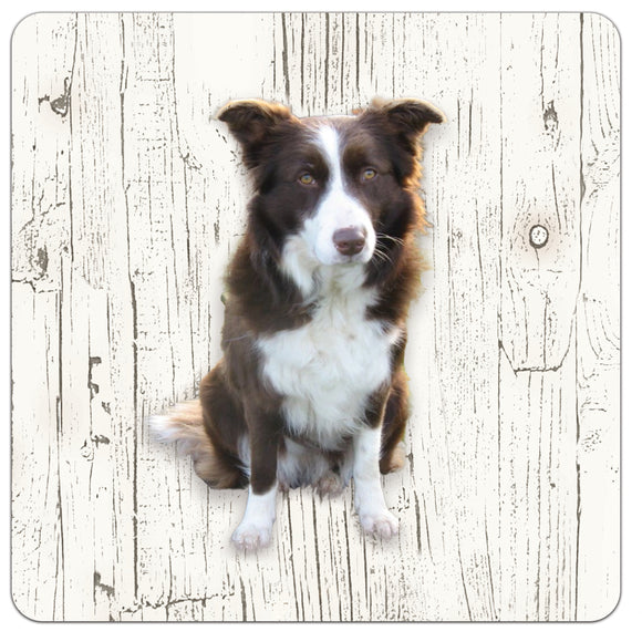 Hond Bordercollie | Houten Onderzetters 6 Stuks