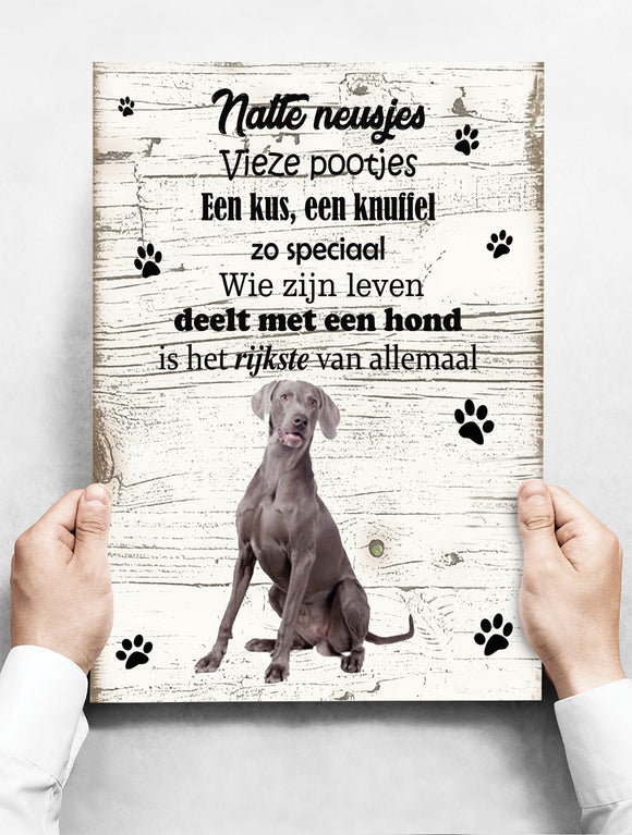 Wandbord Hond: Weimaraner - 30 x 42 cm