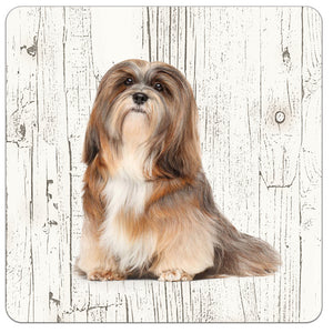 Hond Lhasa Apso | Houten Onderzetters 6 Stuks