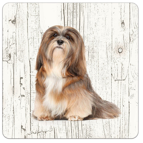 Hond Lhasa Apso | Houten Onderzetters 6 Stuks