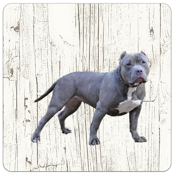 Hond Amerikaanse Bully | Houten Onderzetters 6 Stuks