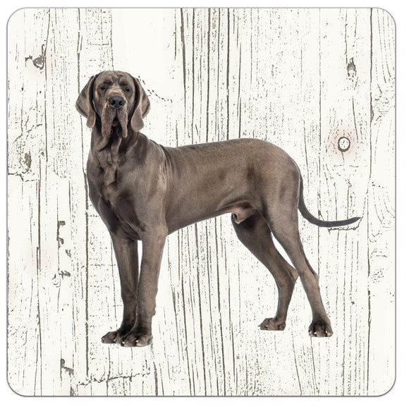Hond Deense Dog | Houten Onderzetters 6 Stuks