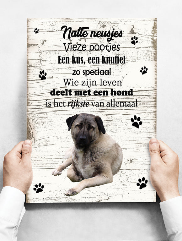 Wandbord Hond: Kangal - 30 x 42 cm