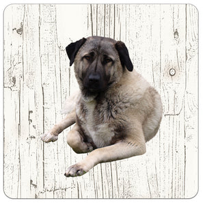 Hond Kangal | Houten Onderzetters 6 Stuks