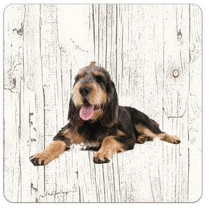 Hond Otterhound | Houten Onderzetters 6 Stuks