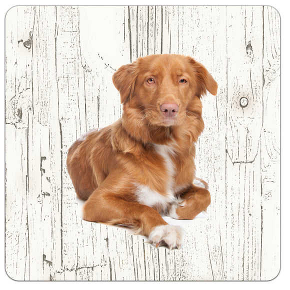 Hond Nova Scotia Duck Tolling Retriever | Houten Onderzetters 6 Stuks