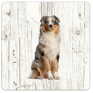 Hond Australian Shepherd Dog | Houten Onderzetters 6 Stuks