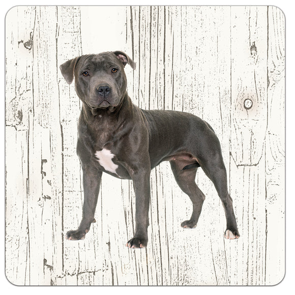 Hond Engelse Staffordshire Bull Terriër | Houten Onderzetters 6 Stuks