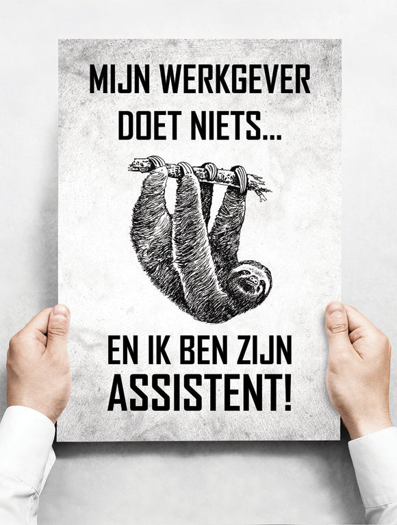 Wandbord: Mijn Werkgever Doet Niets... En Ik Ben Zijn Assistent! | 30 x 42 cm