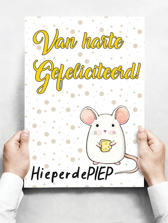 Wandbord: Van harte gefeliciteerd, hieperdePIEP! | 30 x 42 cm